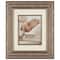 Silver Floral Frame with Mat, Home Collection by Studio D&#xE9;cor&#xAE;